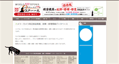 Desktop Screenshot of camera.edo119.net